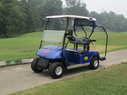 carro de golfe de dois lugares movido a bateria ou gás