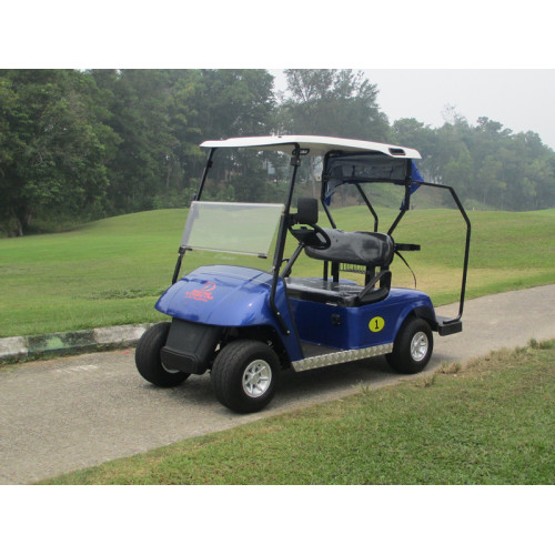 akülü veya gazla çalışan iki kişilik golf arabası