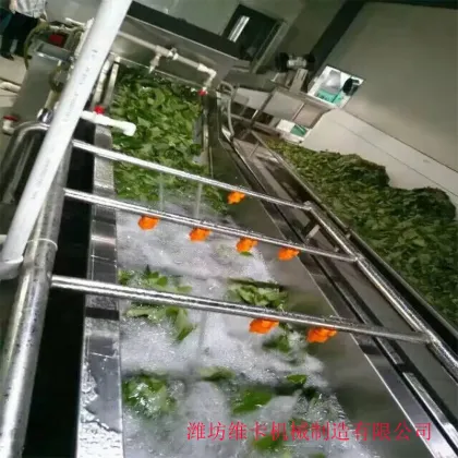 Dry and Wash Fruits and Vegetables Line: Dragon Fruit/Pitaya Washing Machine
