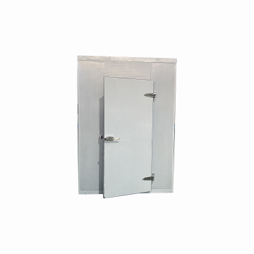 High-Quality Polyurethane Cold Storage Half-Buried Single Door for Sale