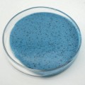 Piso epoxi azul océano
