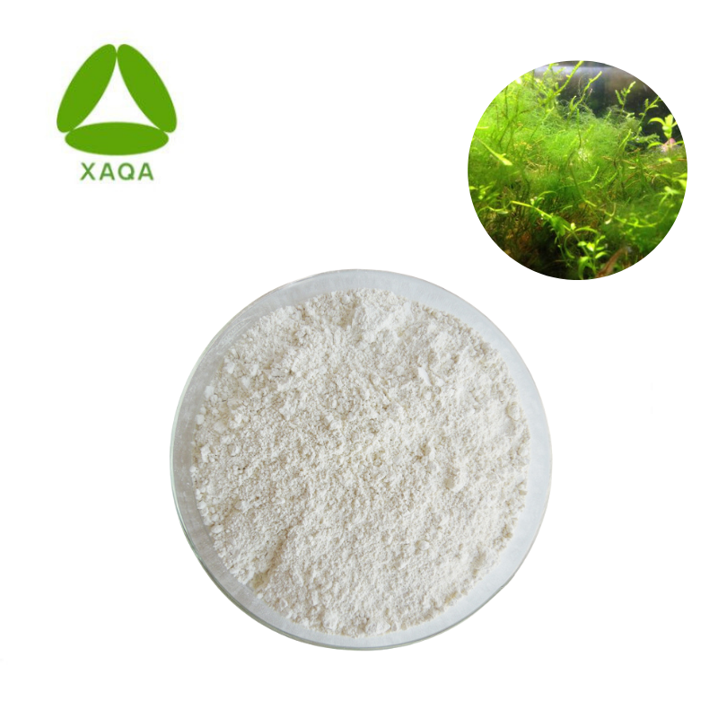 Algues dha doconexent docosahexaenoïque poudre d'acide 6217-54-5