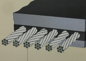 Steel cord for conveyor belt