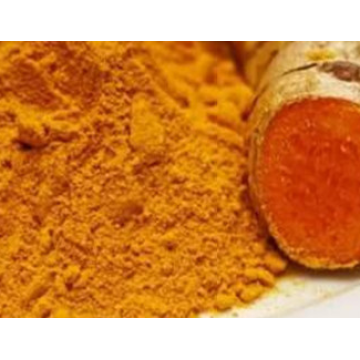Natural Antioxidants Turmeric P. E Curcumae Longae Rhizoma 10%-95% Curcumin Rhizoma Curcumae Longae Extract