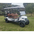 Verimli Saha Kullanımı için Gazla Çalışan Golf Arabaları