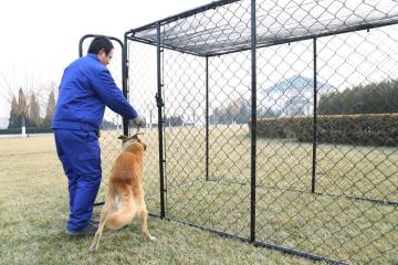 Outdoor Dog Kennel Box Kit