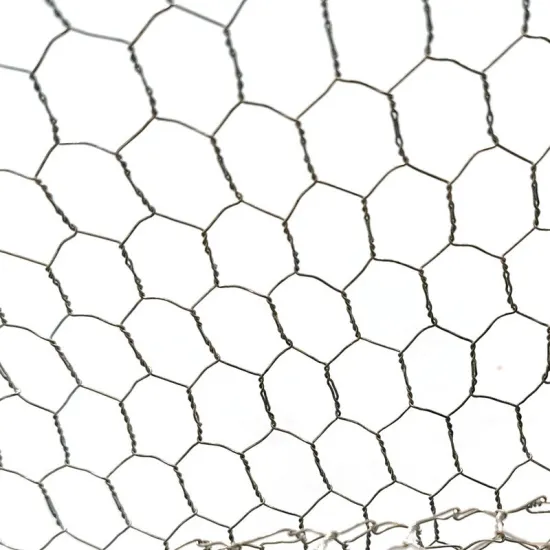 Galvanized Hexagonal Wire Mesh for Gardening and Farming Protection