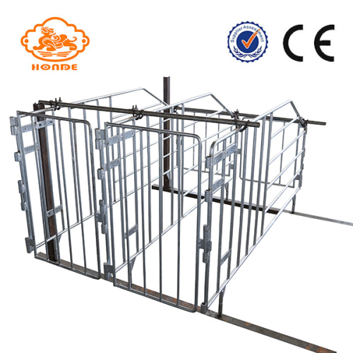 Hot sale galvanized gestation stalls
