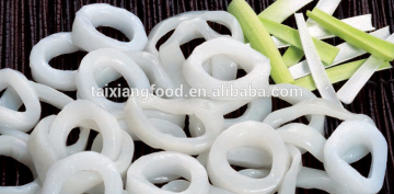 IQF high quality frozen squid rings