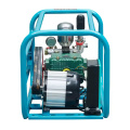 Machine de pulvérisation agricole haute puissance 220V 1000W