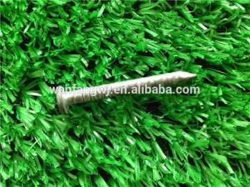 Galvanized Joist Hanger Nail