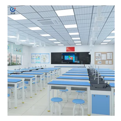Used Science Laboratory Table for Kids