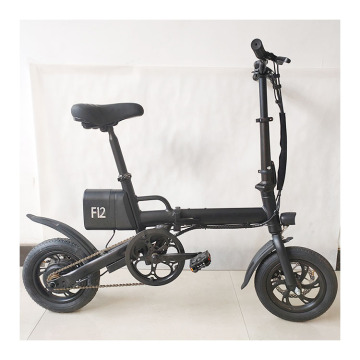 16-tums mini-vikbar pedelec 250W Electric Bicycle: Vintage E-Bike Collection