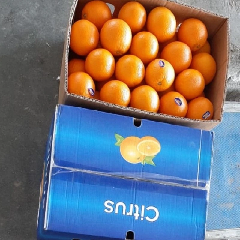 Mandarin Fruit Products - Manufacturer and Supplier