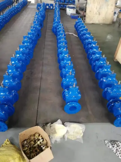 BS5163 Resilient seated  valve