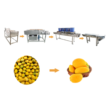 Linea di lavorazione delle bolla di lavaggio e frutta vegetale per la pulizia delle macchine per la pulizia
