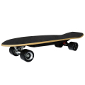 4 hjul monterar CE Longboard Skateboards