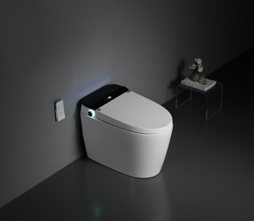 8305a 5smart Toilet