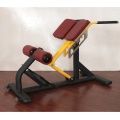 Roman chair body building home fitness equipment bench