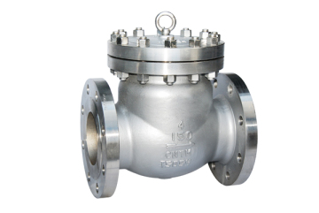 Cast Iron Non-Return Ball Check Vakve (RX-Check-02)