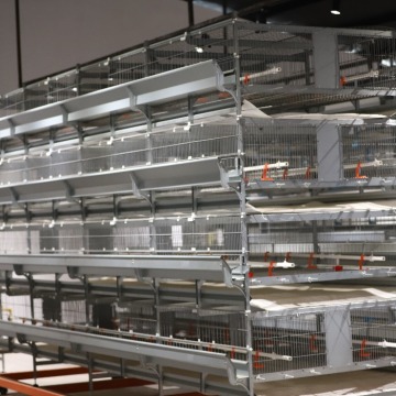 Low Price Poultry Cage for Long-Term Use: Egg Laying Equipment and Chicken Coop