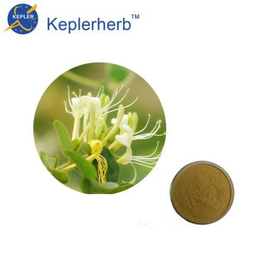 10%chlorogenic acid HPLC Honeysuckle extract