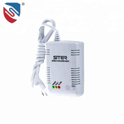 CO detector home security