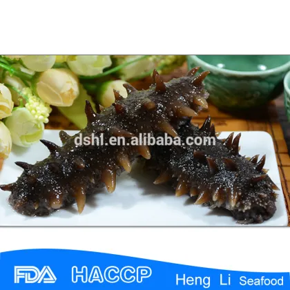 Premium quality sea cucumber