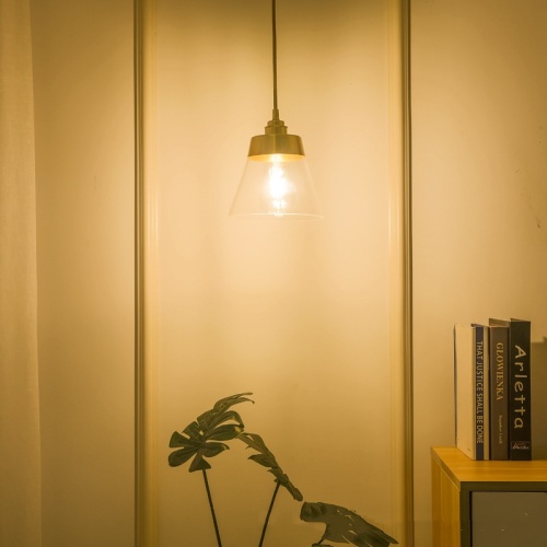 LEDER hangende glazen hanglamp