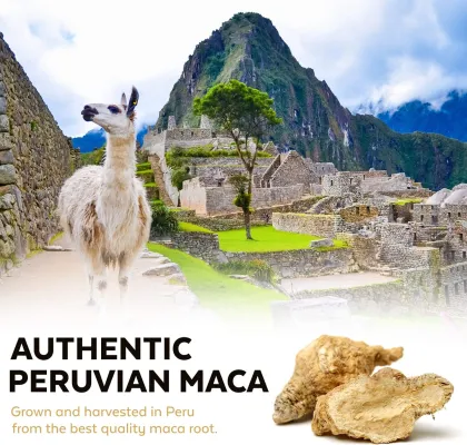 OEM/ODM Organic Maca Powder Black Maca Root Powder
