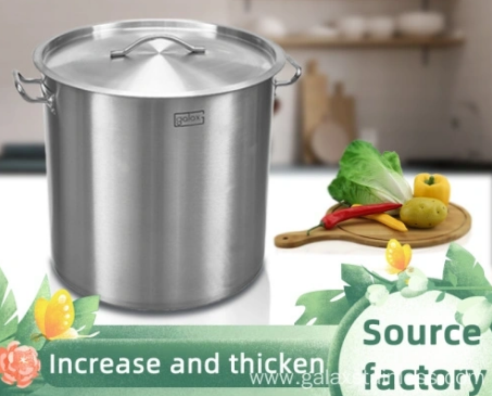 Stainless Steel Stock Pot