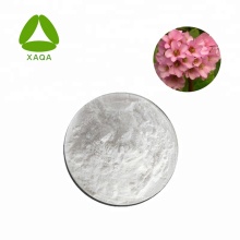 Bergenia Purpurascens Extract Бергенин 98% Порошок