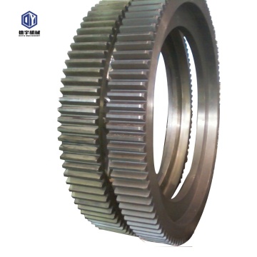 High Quality Large Diameter Spur Gear