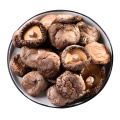 Alto de alta calidad Alimentos secos SHIITAKE SHOLSALE