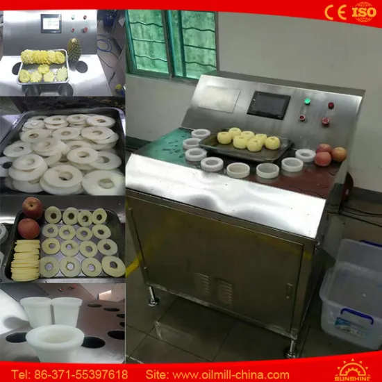 60000 Pieces Per Hour Stainless Steel Pineapple Apple Cutter