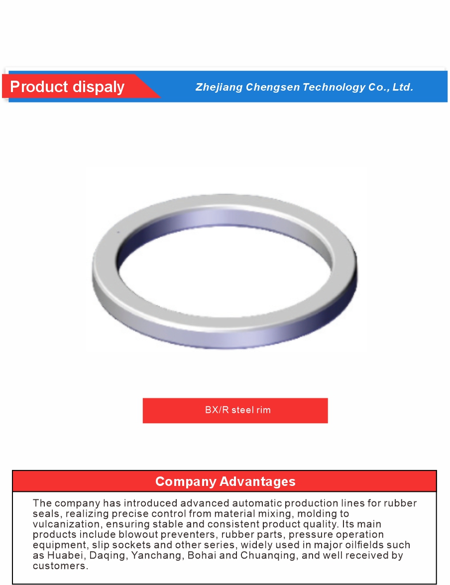 Flange Self sealing Steel Ring