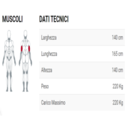 ALTERNATE TRICEPS MACHINE powerful effective direct sale