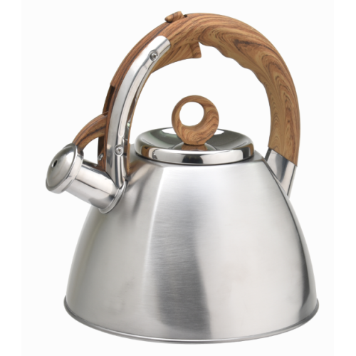 Amazon whistling kettle fast boiling water