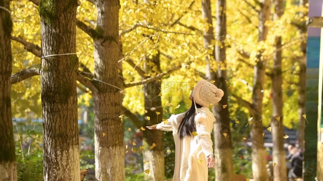 Gannan Orange enzyme solution