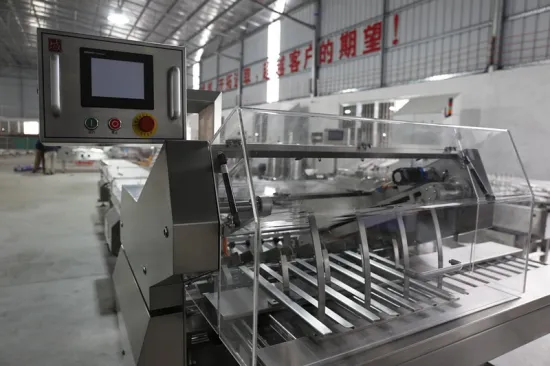 Automatic Counting System For Biscuit On-Edge Packing