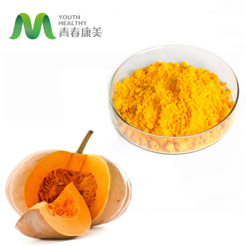 Bluk Pumpkin Powder Competitive Price