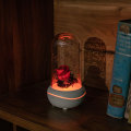 Aromatherapy aroma home Fragrance Diffuser bottle