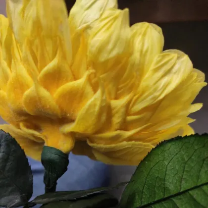 Unique Glass Dome Sunflower - Eternal Blooms Hot Sale
