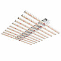 Phlizon 640w 800w Grow Light Dimbare overzeese voorraad