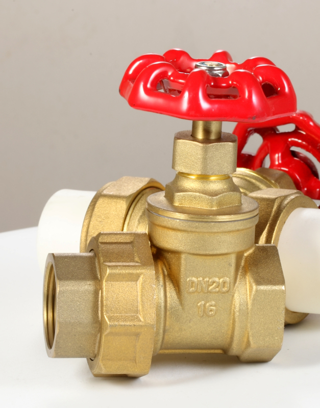 Brass gate valve