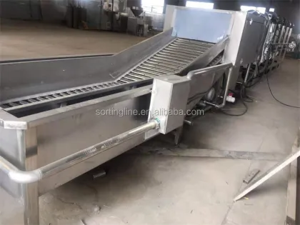 Shandong Zhucheng Vegetable Fruit Washing Drying Line