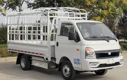 Farizon cheap high speed light electric truck coc