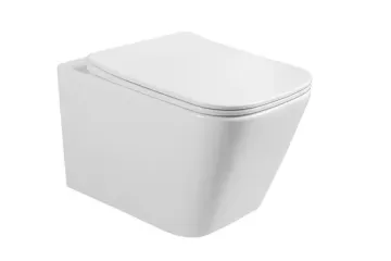 White Tank Wall Hung Toilet with Blue Basin