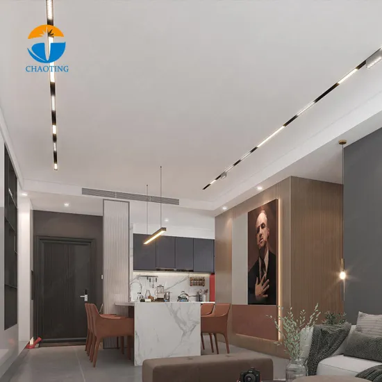 220V Slim LED Track Lights with Magnetic Absorption Grille Housing and Dimming Function