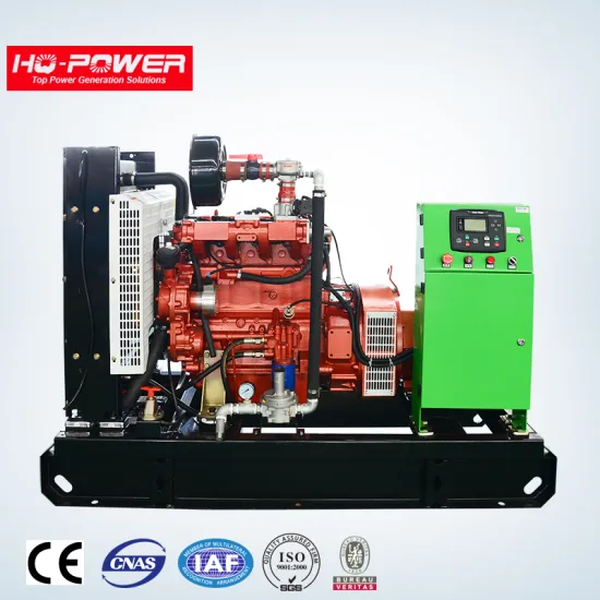 Small natural gas or biogas biomass generator 20kw